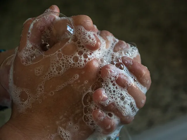 hygiene in pizza